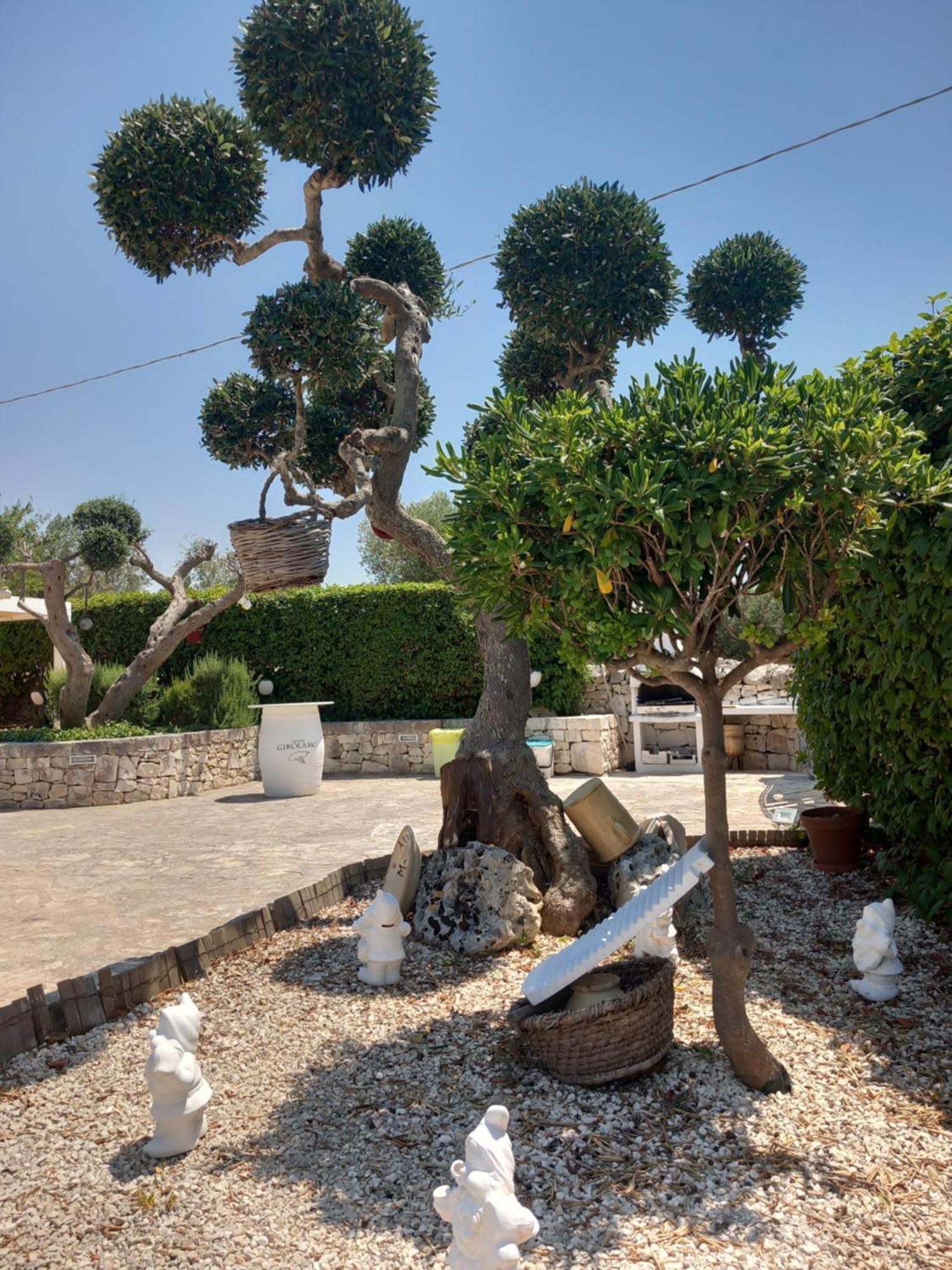 Trullo Monte Del Sale Guest House Alberobello Exterior photo